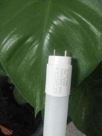 4ft Glass T8 LED Tube Light  , 1200mm T8 LED Tube SMD2835 Source