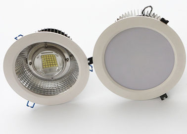 240V Adjustable Bathroom LED Downlights 30W - 200W CREE Chips MEANWELL Driver