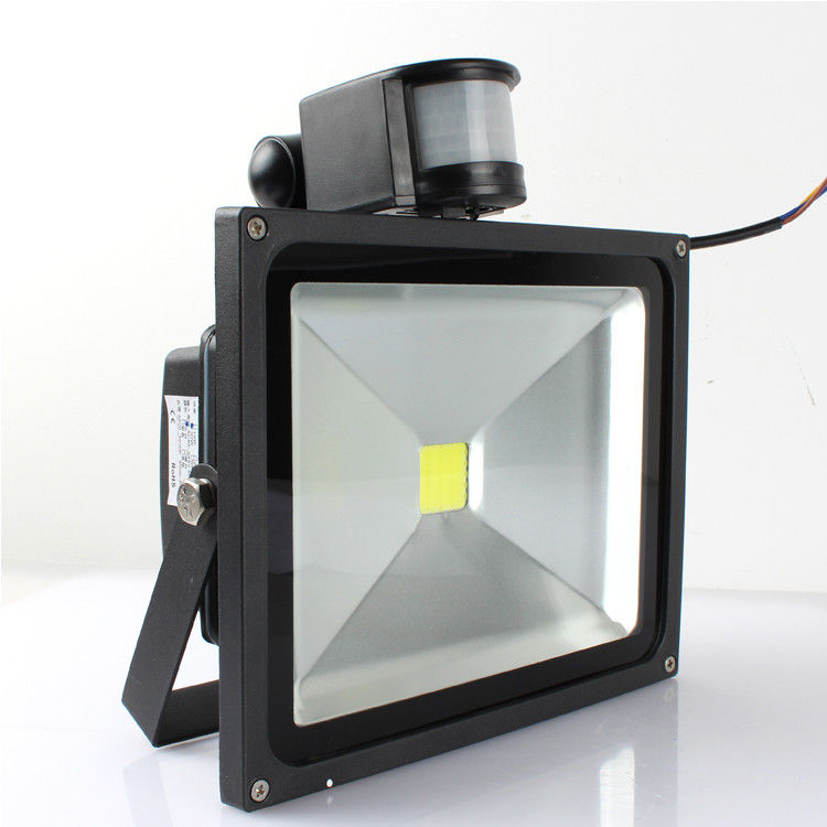 High Lumen Ip65 Led Outside Flood Lights 30w CE ROHS Approved Corrosion Resistant