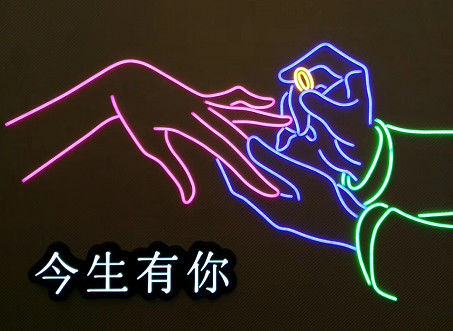 Decorative Popular LED Neon Lights D Acrylic Cool LED Bespoke Neon Signs