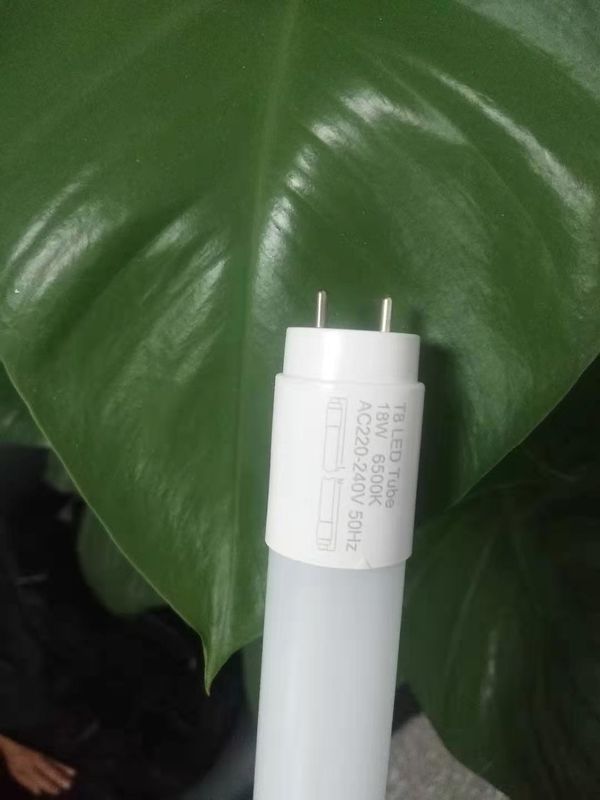 4ft Glass T8 LED Tube Light  , 1200mm T8 LED Tube SMD2835 Source