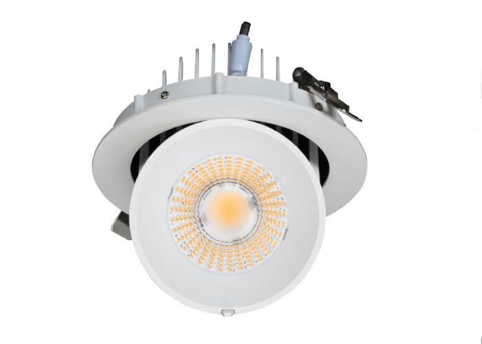 25W 35W 50W 60 Degree Adjustable LED Down Light Rotational Gimbal Aluminum Warm White