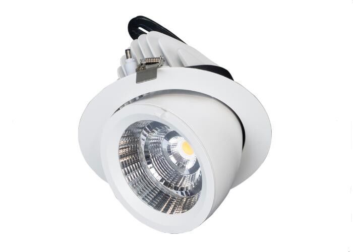 25W 35W 50W 60 Degree Adjustable LED Down Light Rotational Gimbal Aluminum Warm White